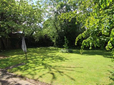 Picture 7